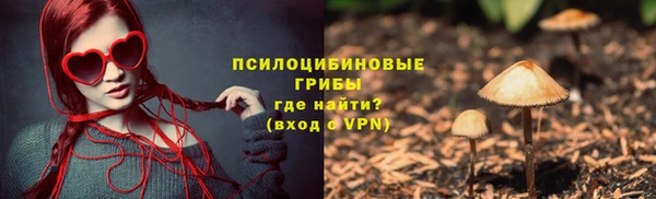 дживик Михайловск