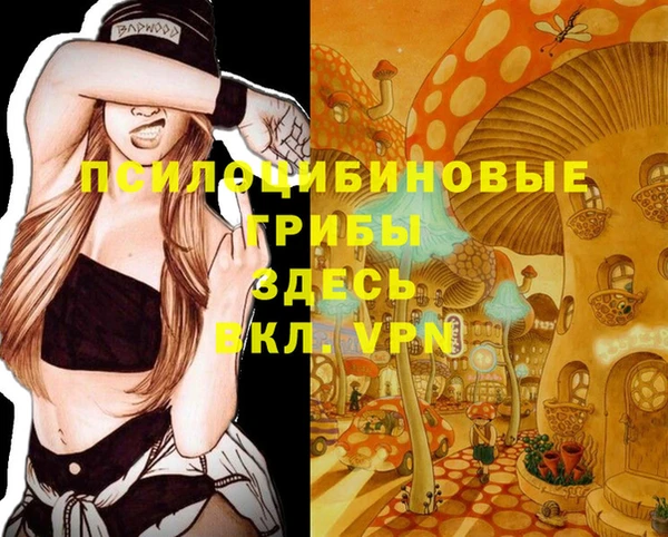 синтетический гашиш Медногорск