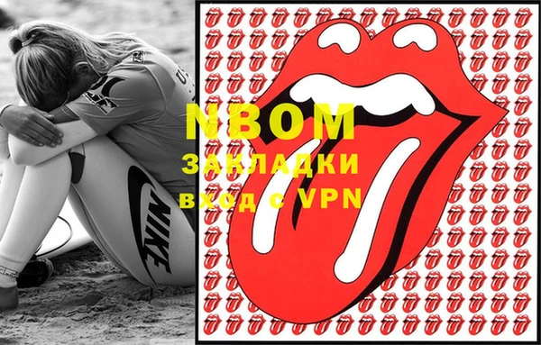 гидра Михайловка