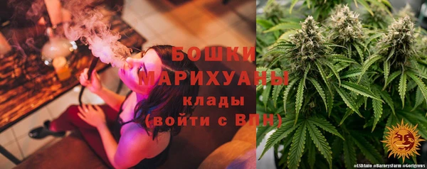 гидра Михайловка