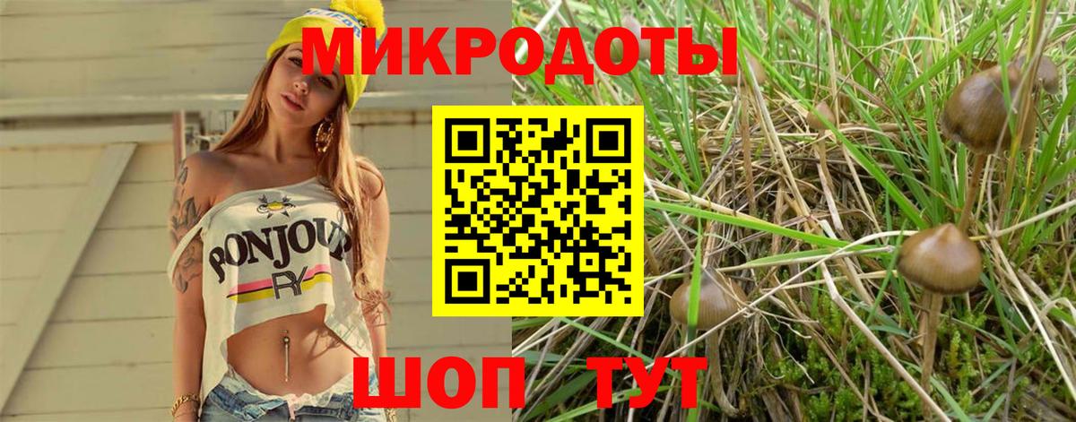 Псилоцибиновые грибы ЛСД Кашира